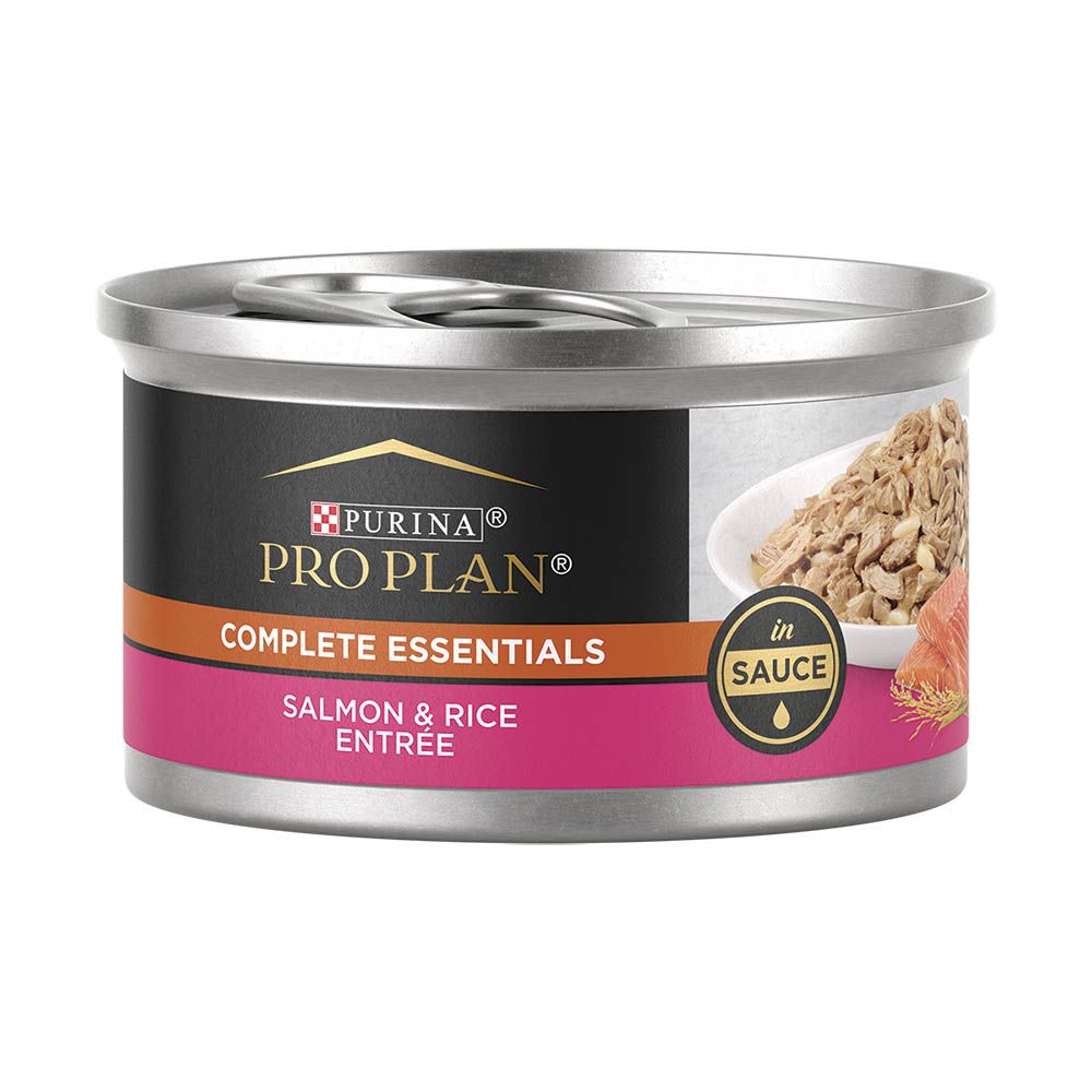 pp-salmon-rice-wet_1000x1000.jpg