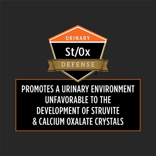 ppvd_cat_dry_om_3_500x500.jpg