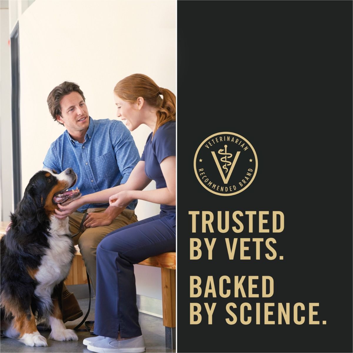 pro-plan-dog-food-trusted-by-vets_8.jpg