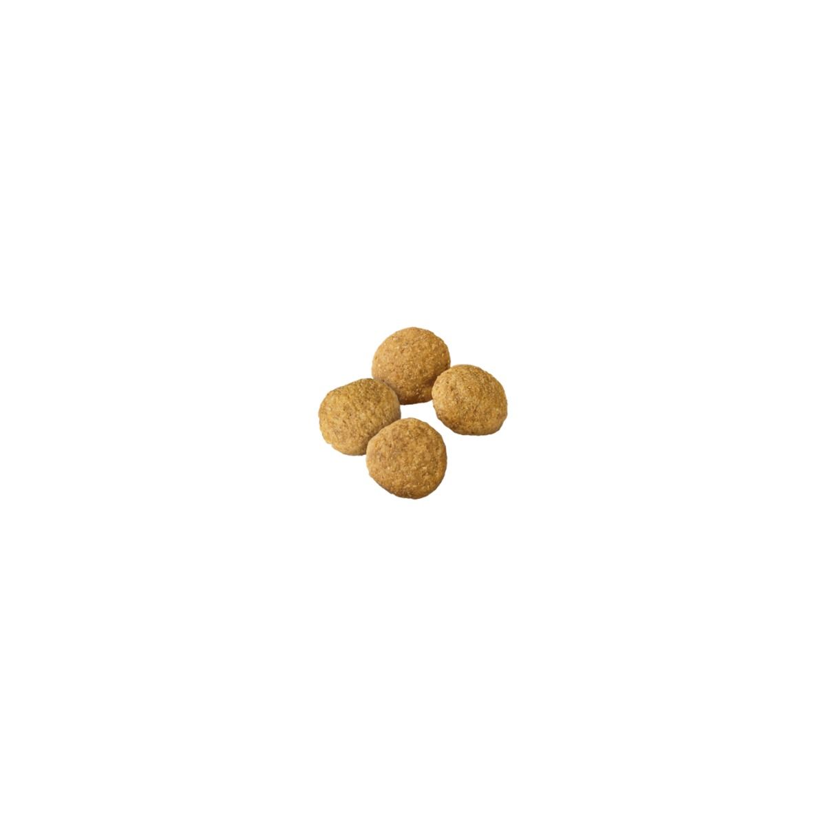 purina-pro-plan-weight-management-large-breed-chicken-rice-dry-dog-food-kibble.jpg